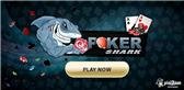 download Poker Shark apk